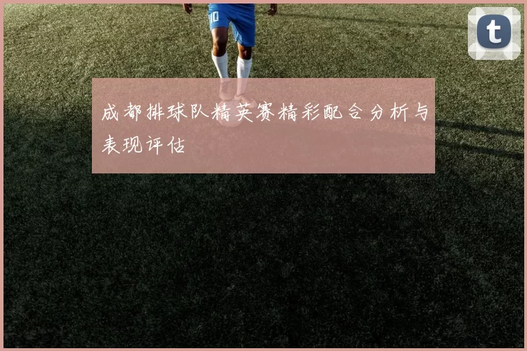 成都排球队精英赛精彩配合分析与表现评估