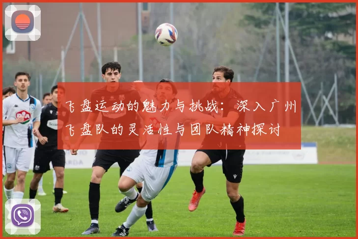 飞盘运动的魅力与挑战：深入广州飞盘队的灵活性与团队精神探讨