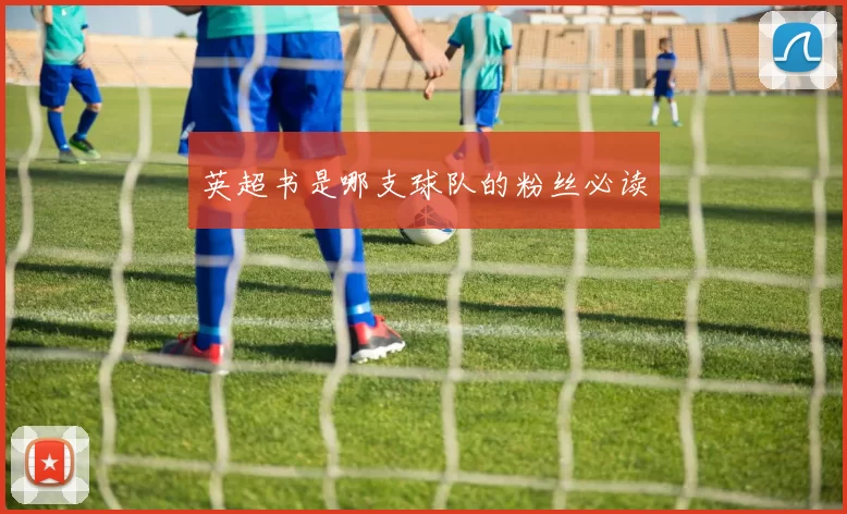 英超书是哪支球队的粉丝必读