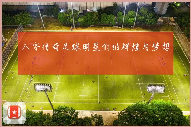 八字传奇足球明星们的辉煌与梦想
