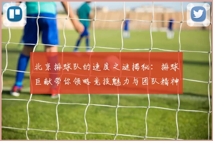 北京排球队的速度之谜揭秘：排球巨献带你领略竞技魅力与团队精神