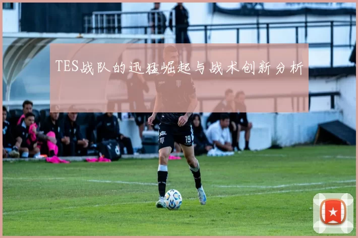 TES战队的迅猛崛起与战术创新分析